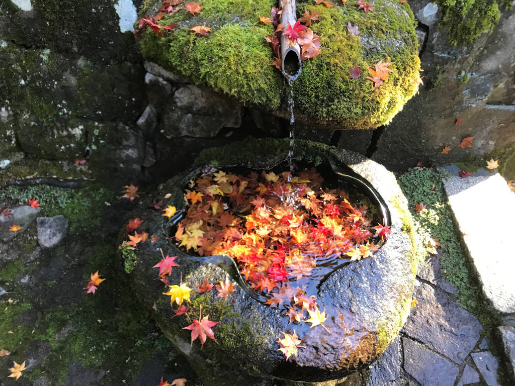 石桶に浮かぶ紅葉