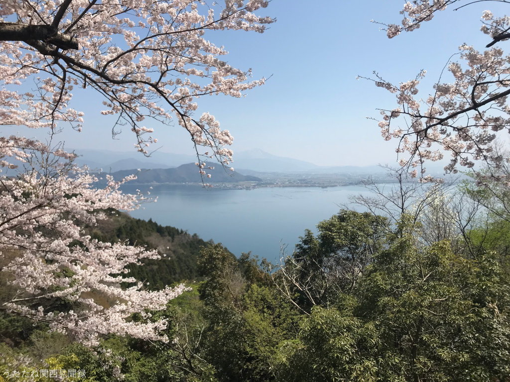 桜越しの琵琶湖