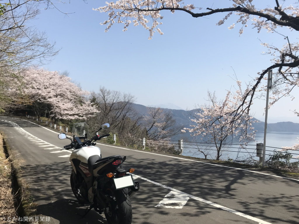 桜と琵琶湖と400X